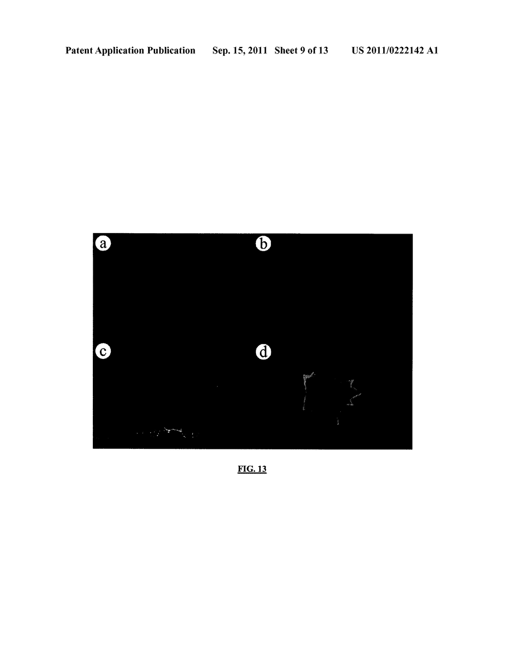 PHOTONIC CRYSTAL DEVICE - diagram, schematic, and image 10