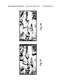 Method for Handling Pixel Occlusions in Stereo Images Using Iterative     Support and Decision Processes diagram and image