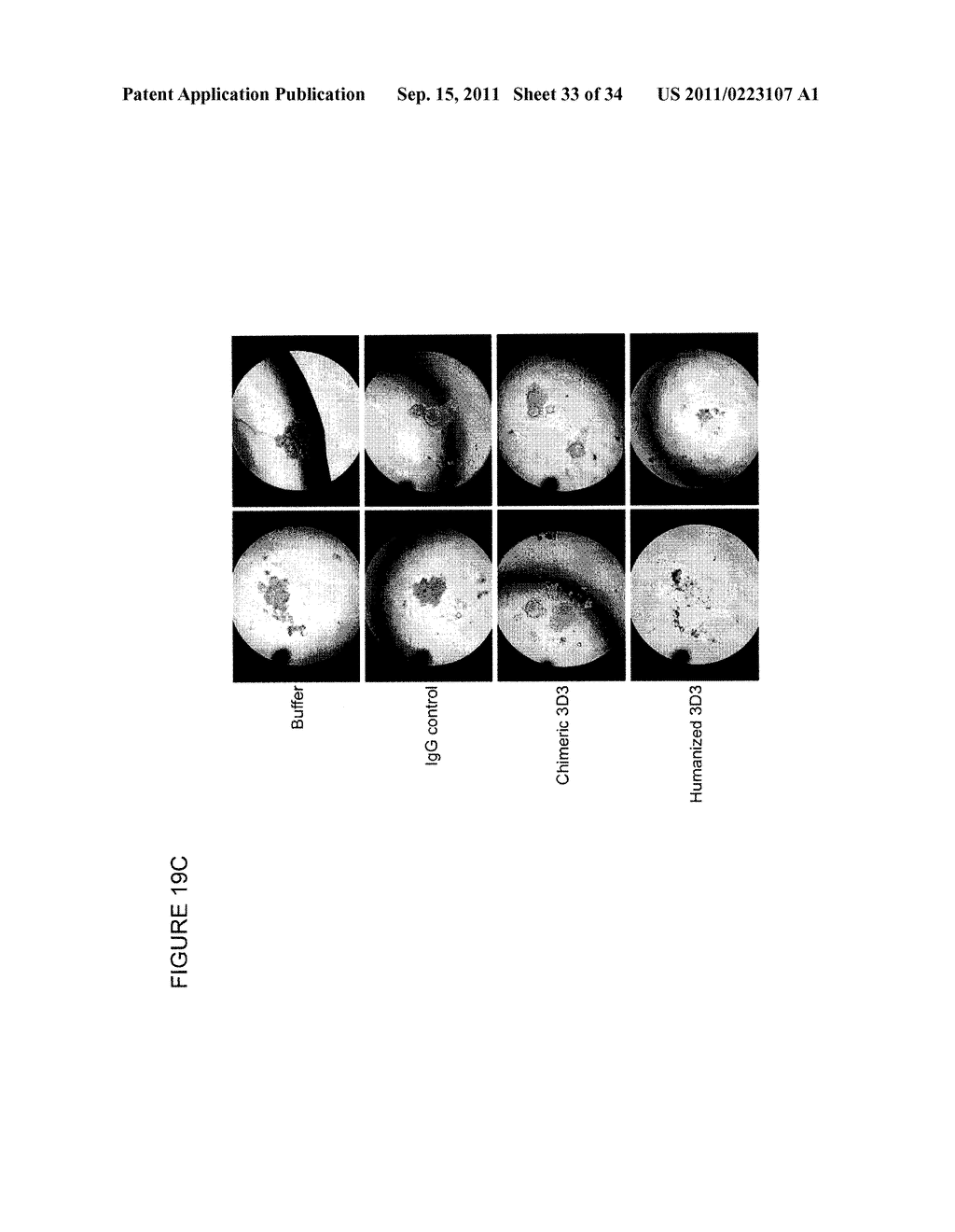 ANTIBODIES THAT SPECIFICALLY BLOCK THE BIOLOGICAL ACTIVITY OF A TUMOR     ANTIGEN - diagram, schematic, and image 34