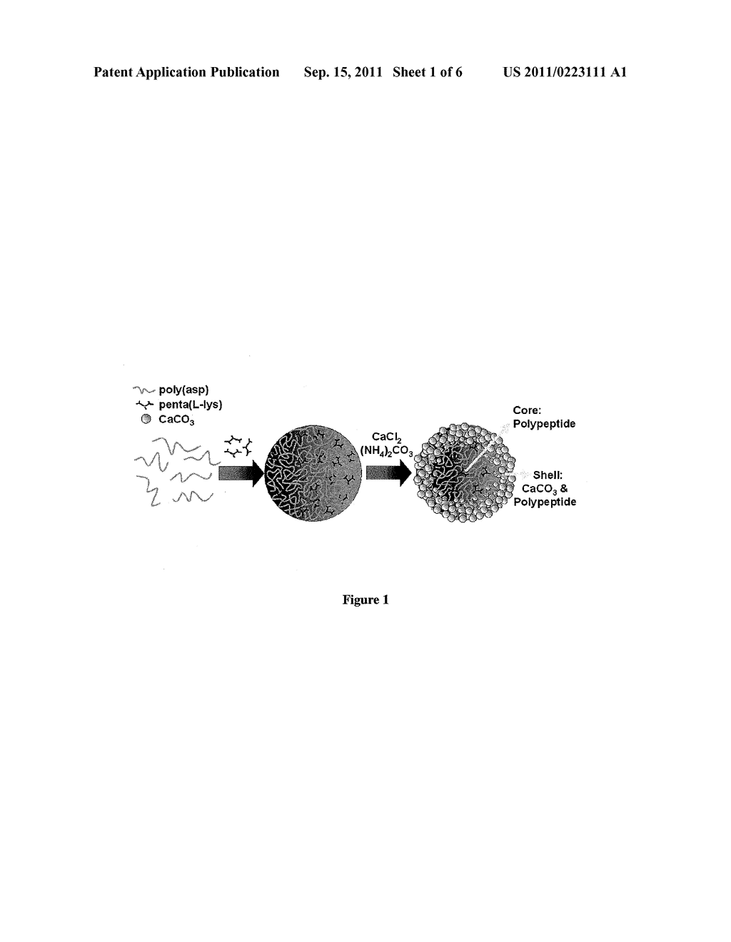 CALCIUM CARBONATE MICROSTRUCTURES USEFUL IN ENCAPSULATION APPLICATIONS AND     A PROCESS FOR THE PREPARATION THEREOF - diagram, schematic, and image 02