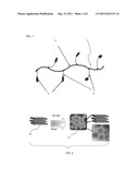 COMPOSITIONS WITH FREEZE THAW STABILITY diagram and image