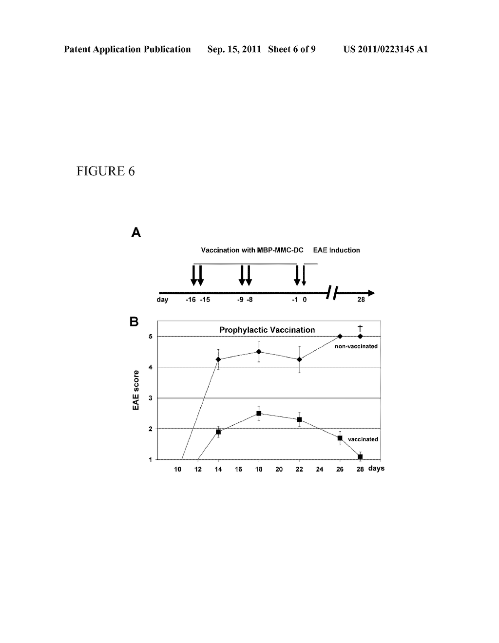 IMMUNOSUPPRESSIVE BLOOD CELLS AND METHODS OF PRODUCING THE SAME - diagram, schematic, and image 07