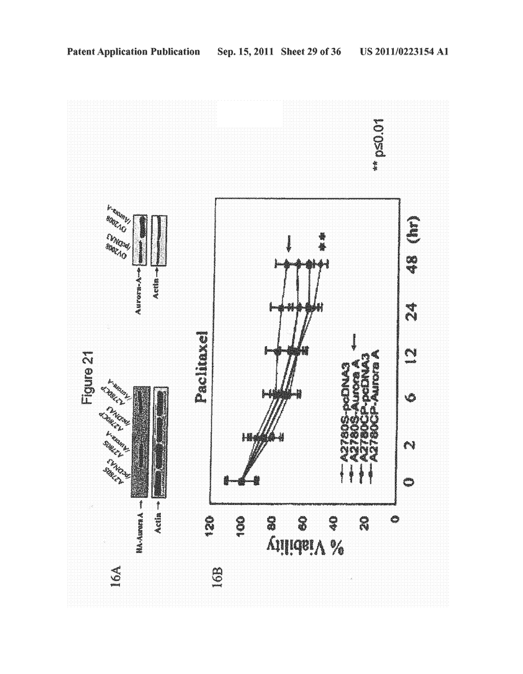 COMPOSITIONS INCLUDING TRICIRIBINE AND METHODS OF USE THEREOF - diagram, schematic, and image 30