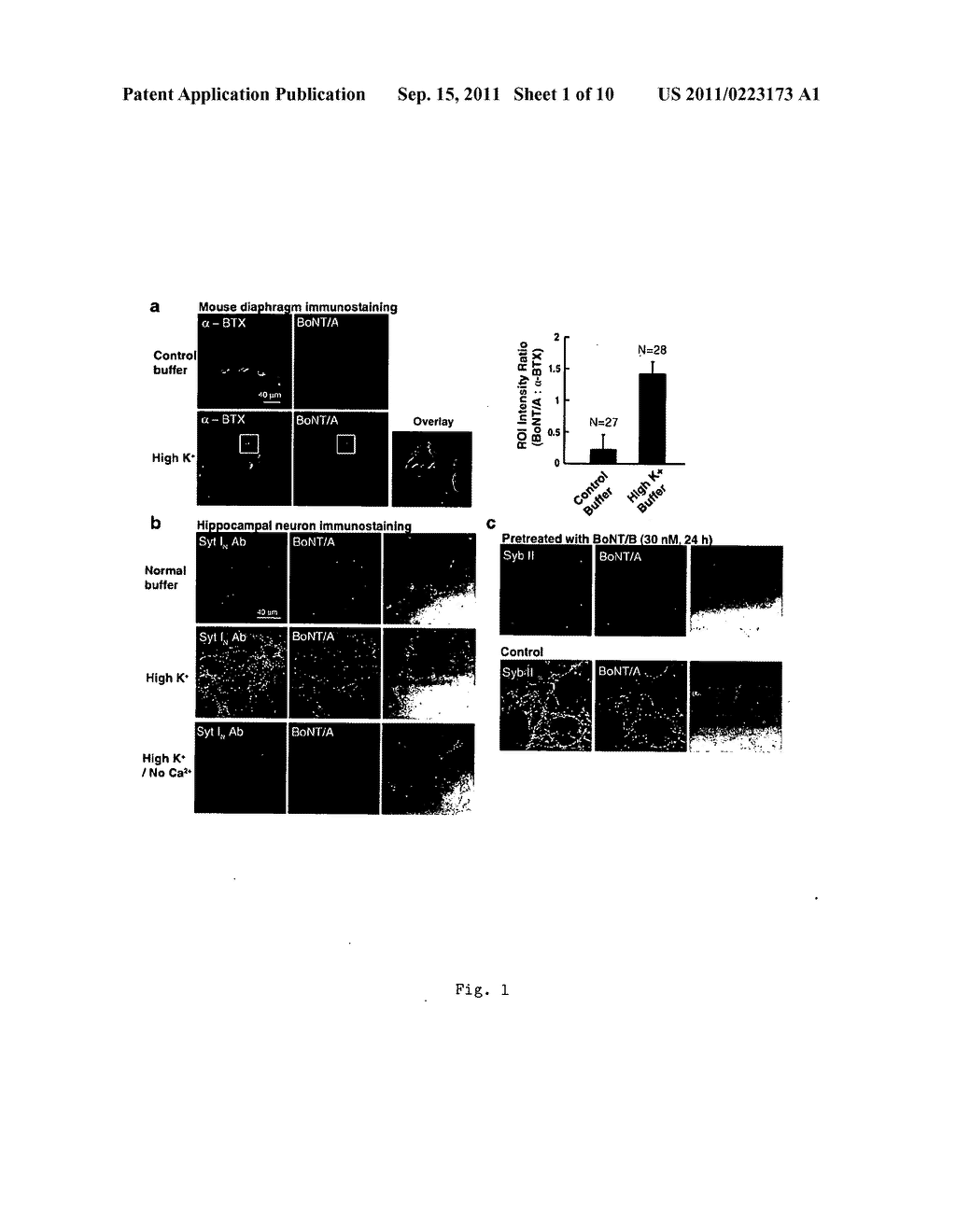 Botulinum Neurotoxin A Receptor and the Use Thereof - diagram, schematic, and image 02