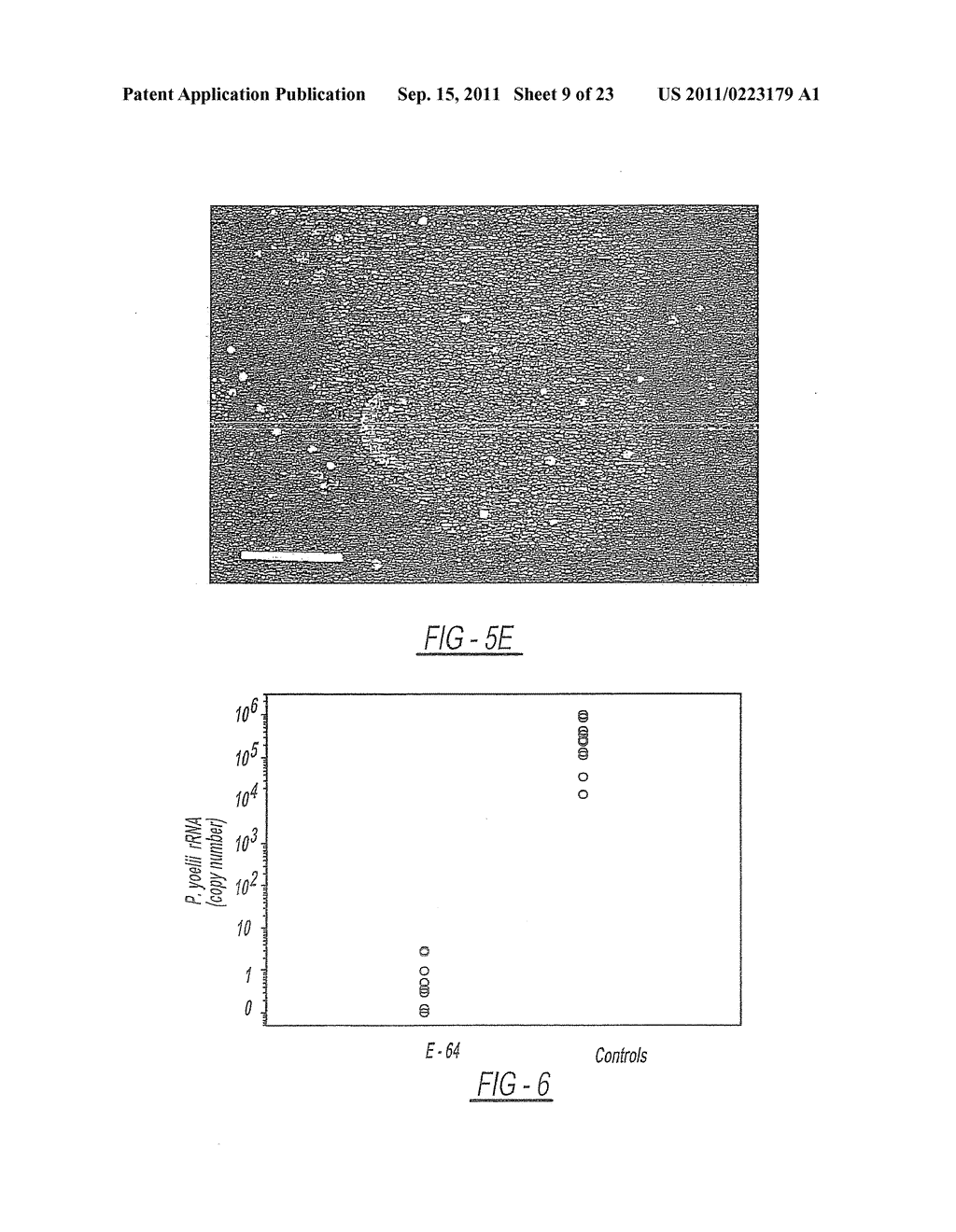 METHODS AND COMPOSITIONS FOR MALARIA PROPHYLAXIS - diagram, schematic, and image 10