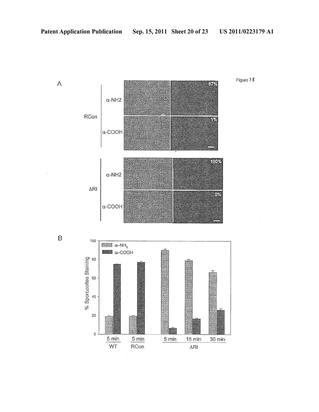 METHODS AND COMPOSITIONS FOR MALARIA PROPHYLAXIS - diagram, schematic, and image 21