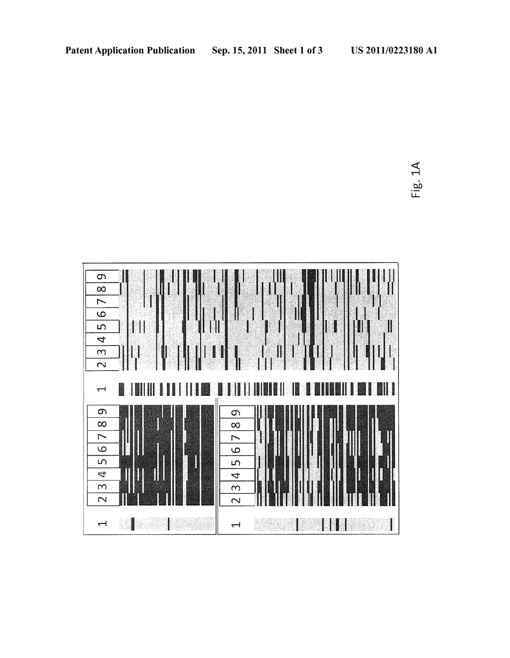 METHODS AND COMPOSITIONS RELATED TO A MULTI-METHYLATION ASSAY TO PREDICT     PATIENT OUTCOME - diagram, schematic, and image 02