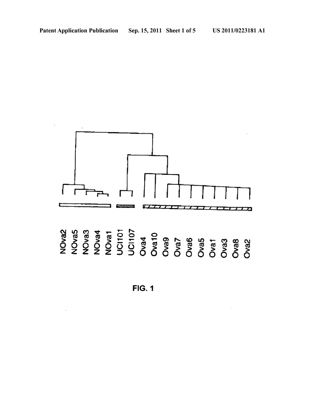 Gene expression profiling in primary ovarian serous papillary tumors and     normal ovarian epithelium - diagram, schematic, and image 02