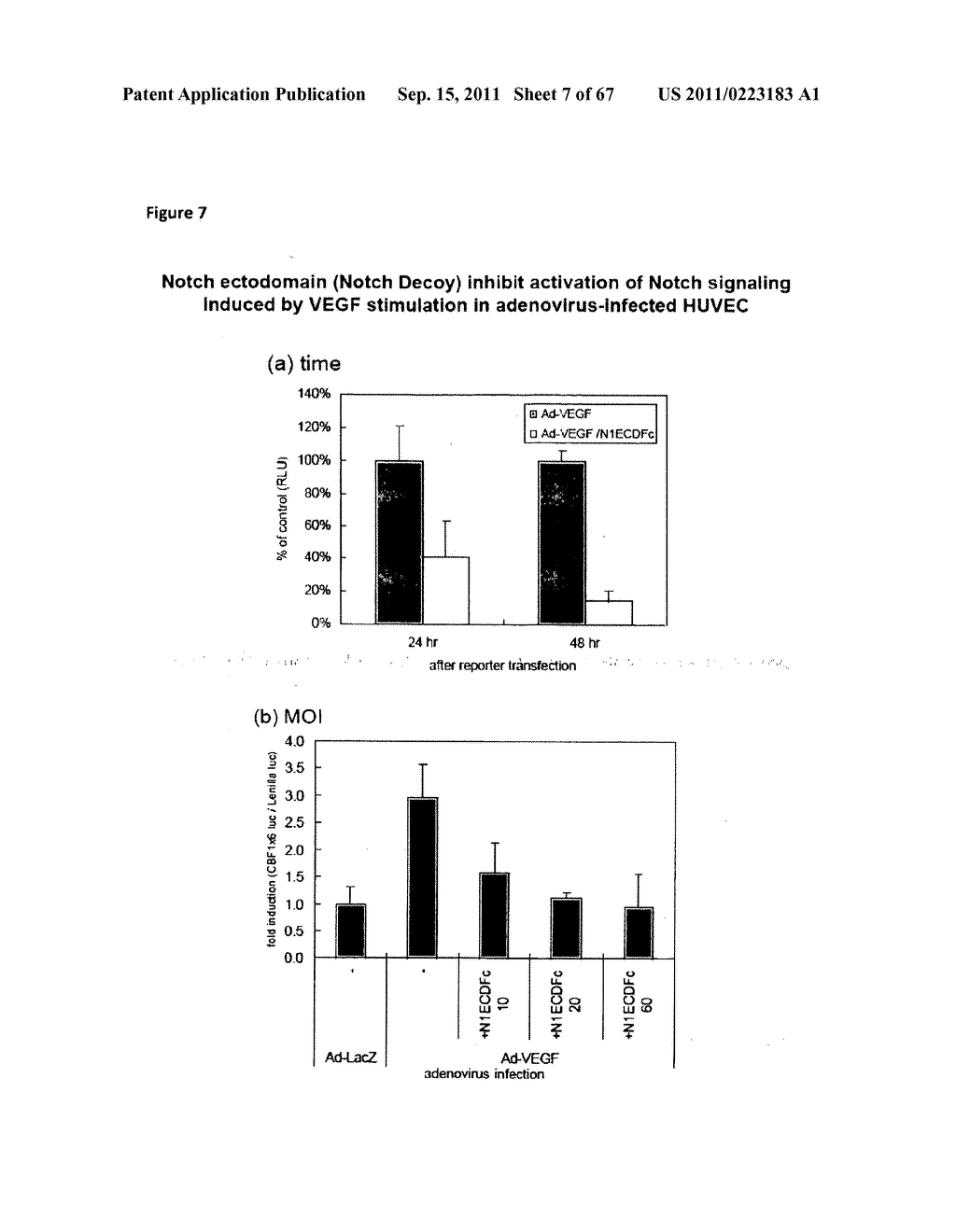 HUMAN NOTCH3 BASED FUSION PROTEINS AS DECOY INHIBITORS OF NOTCH3 SIGNALING - diagram, schematic, and image 08