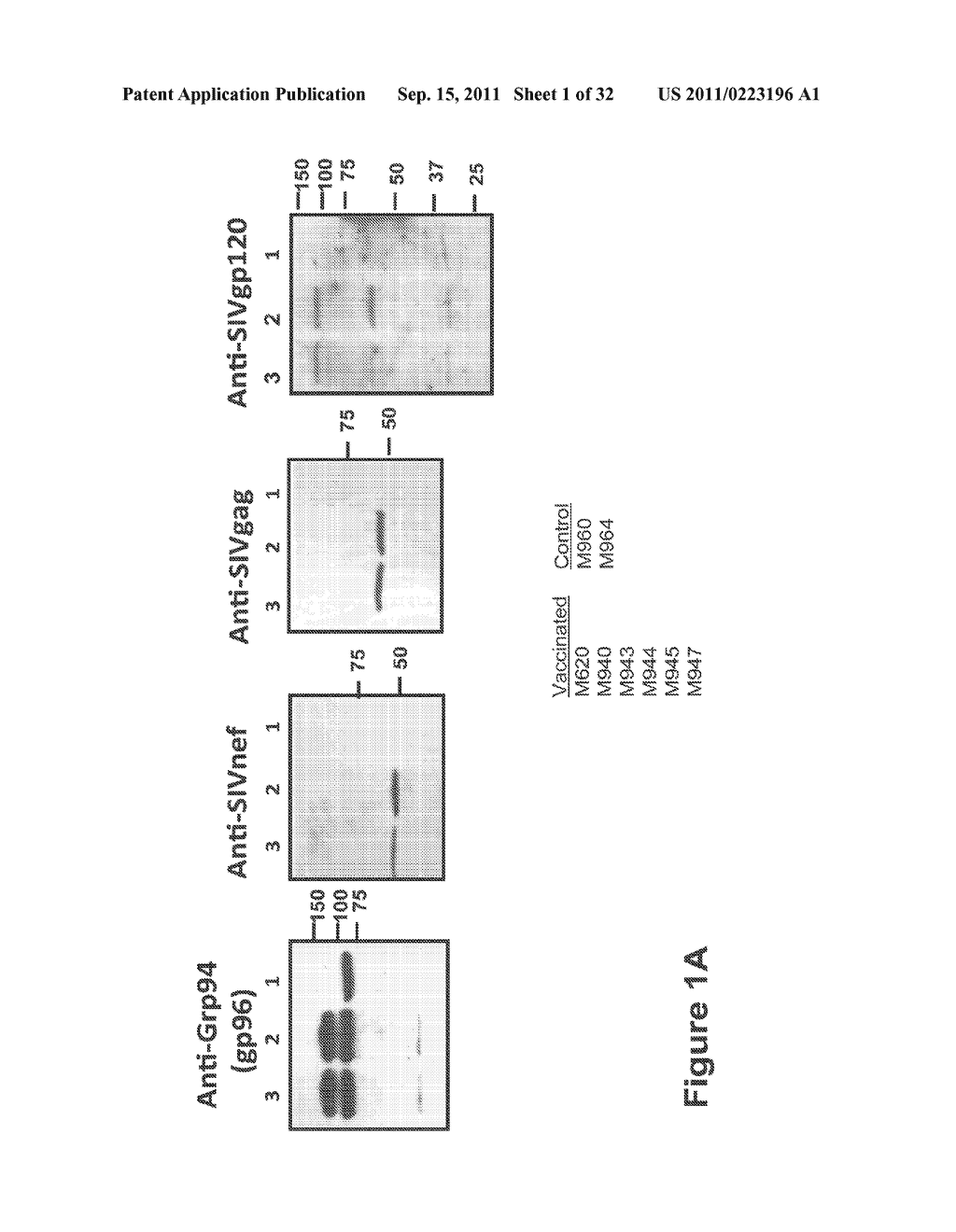 HIV/SIV VACCINES FOR THE GENERATION OF MUCOSAL AND SYSTEMIC IMMUNITY - diagram, schematic, and image 02