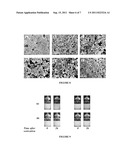 Nanoparticles and Porous Particles and Methods of Making the Same diagram and image