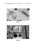 NOVEL NANOCOMPOSITE FOR SUSTAINABILITY OF INFRASTRUCTURE diagram and image