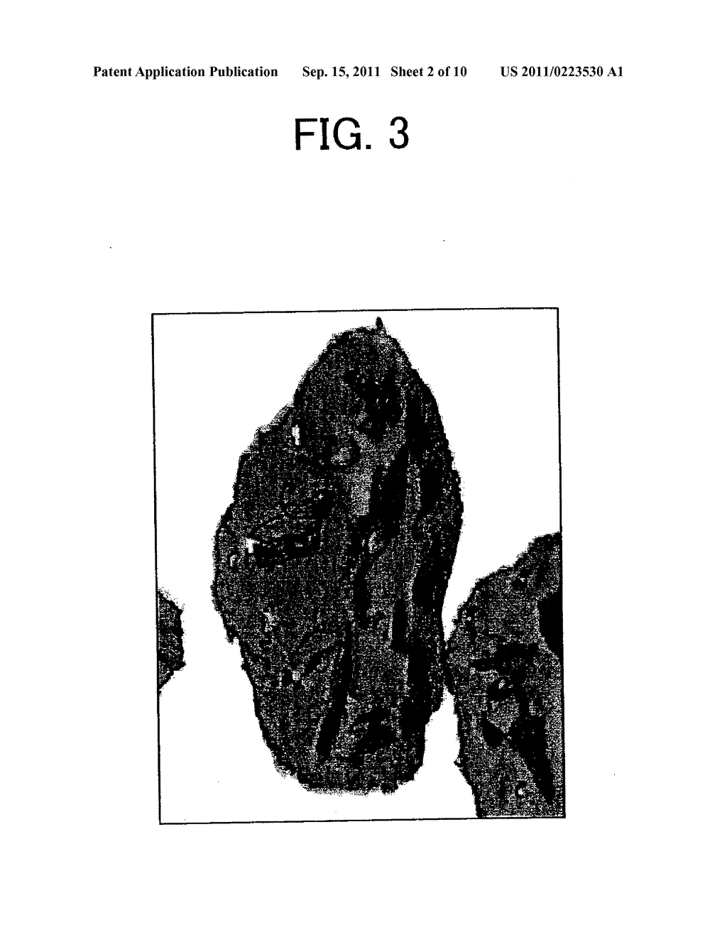 TONER, DEVELOPER, IMAGE FORMING METHOD, IMAGE FORMING APPARATUS, PROCESS     CARTRIDGE, AND TONER CONTAINER - diagram, schematic, and image 03