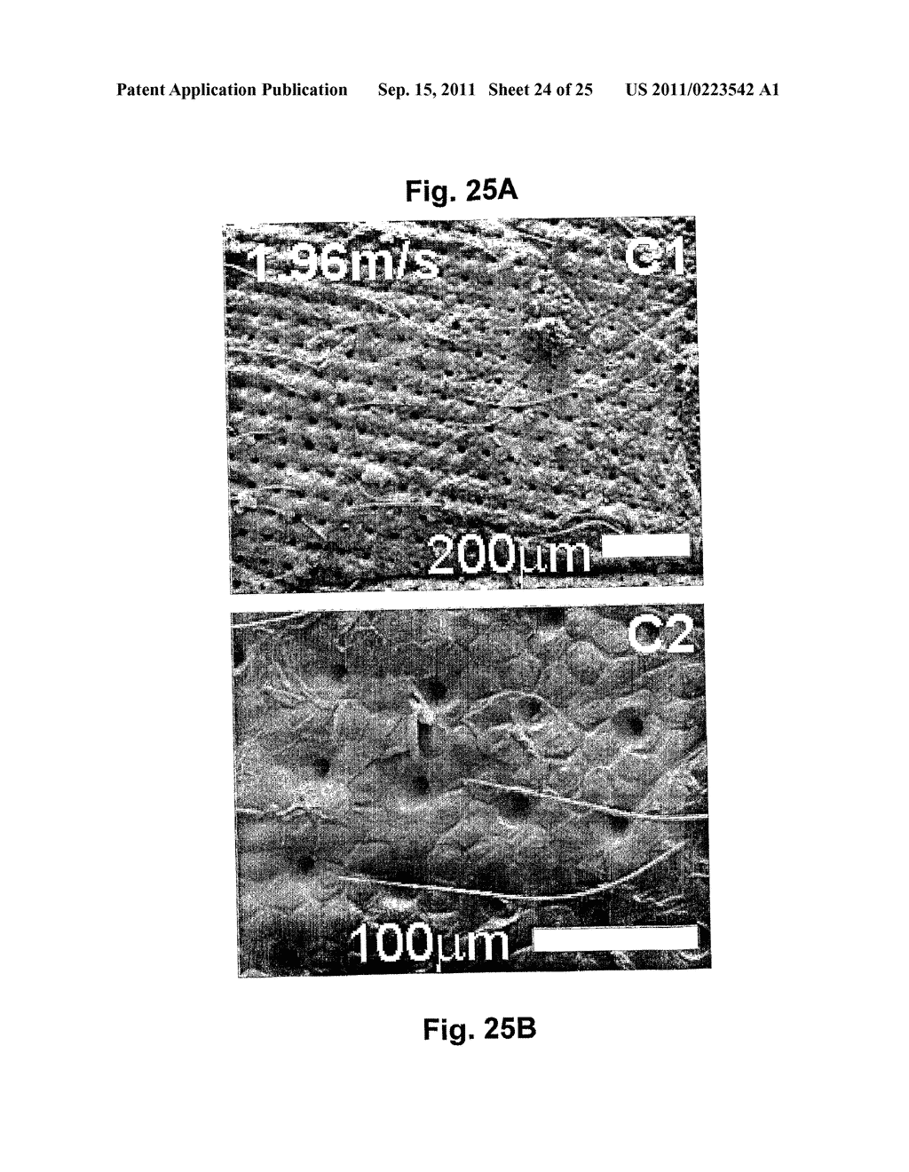 PATCH PRODUCTION - diagram, schematic, and image 25