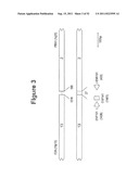 STANDARDIZED AND OPTIMIZED REAL-TIME QUANTITATIVE REVERSE TRANSCRIPTASE     POLYMERASE CHAIN REACTION METHOD FOR DETECTION OF MRD IN LEUKEMIA diagram and image