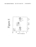 STANDARDIZED AND OPTIMIZED REAL-TIME QUANTITATIVE REVERSE TRANSCRIPTASE     POLYMERASE CHAIN REACTION METHOD FOR DETECTION OF MRD IN LEUKEMIA diagram and image