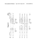 STANDARDIZED AND OPTIMIZED REAL-TIME QUANTITATIVE REVERSE TRANSCRIPTASE     POLYMERASE CHAIN REACTION METHOD FOR DETECTION OF MRD IN LEUKEMIA diagram and image