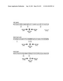 STANDARDIZED AND OPTIMIZED REAL-TIME QUANTITATIVE REVERSE TRANSCRIPTASE     POLYMERASE CHAIN REACTION METHOD FOR DETECTION OF MRD IN LEUKEMIA diagram and image