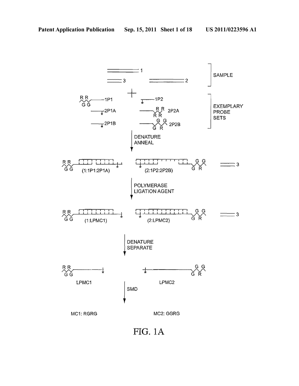 Multiplex Detection Compositions, Methods, and Kits - diagram, schematic, and image 02