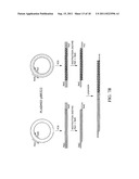 Multiplex Detection Compositions, Methods, and Kits diagram and image