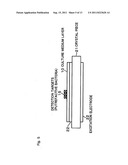 Method of detecting microorganisms and microorganism detecting apparatus diagram and image