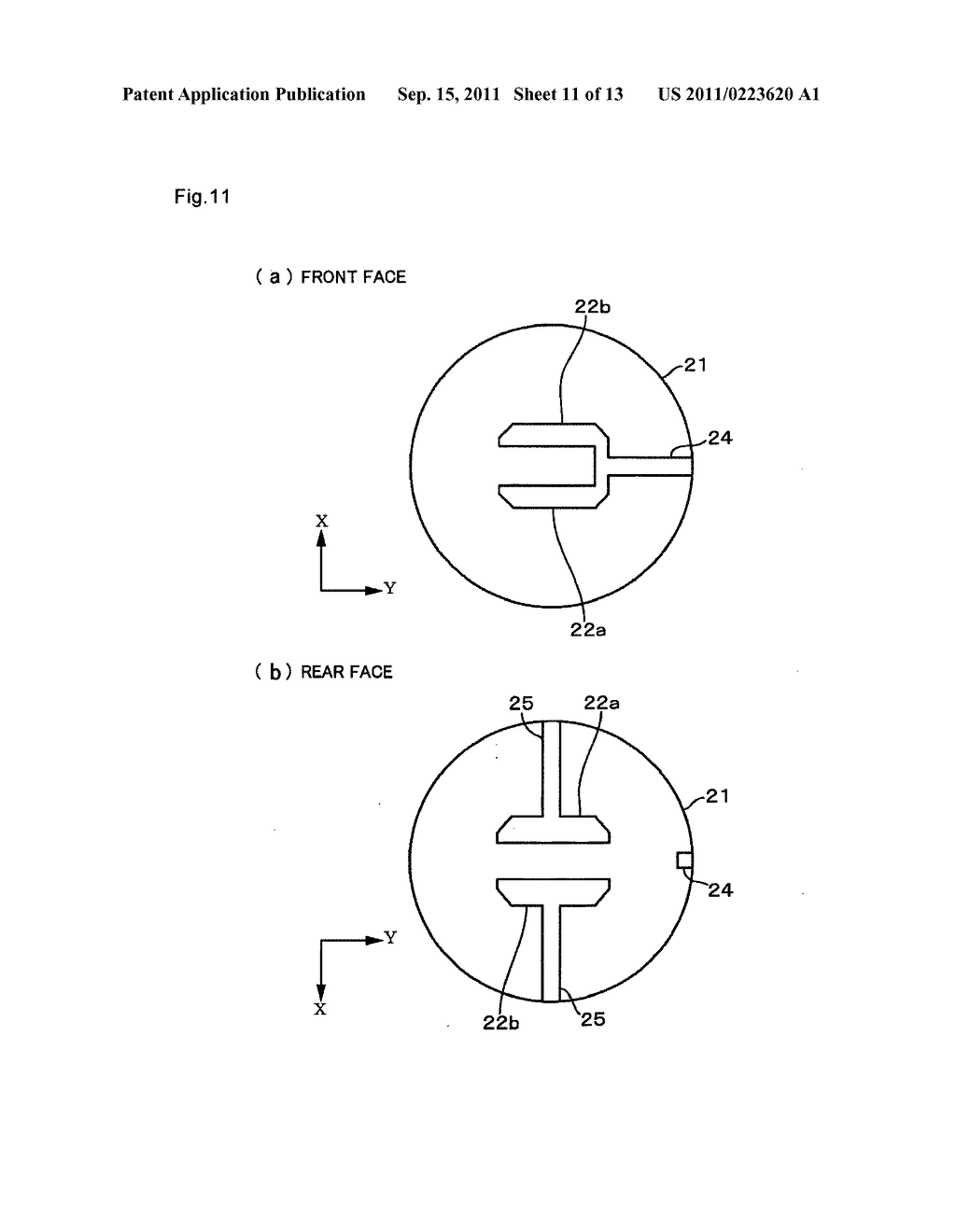 Method of detecting microorganisms and microorganism detecting apparatus - diagram, schematic, and image 12