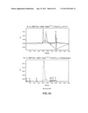 Multivalent Carriers of Bi-Specific Antibodies diagram and image