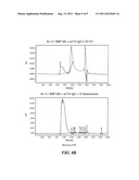 Multivalent Carriers of Bi-Specific Antibodies diagram and image