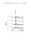 EXPRESSION OF SOLUBLE, ACTIVE EUKARYOTIC GLYCOSYLTRANSFERASES IN     PROKARYOTIC ORGANISMS diagram and image