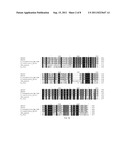 GRG36: Novel EPSP Synthase Gene Conferring Herbicide Resistance diagram and image