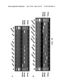 COMPOSITIONS FOR INDUCING DIFFERENTIATION INTO RETINAL CELLS FROM RETINAL     PROGENITOR CELLS OR INDUCING PROLIFERATION OF RETINAL CELLS COMPRISING     WNT SIGNALING PATHWAY ACTIVATORS diagram and image