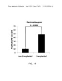 COMPOSITIONS FOR INDUCING DIFFERENTIATION INTO RETINAL CELLS FROM RETINAL     PROGENITOR CELLS OR INDUCING PROLIFERATION OF RETINAL CELLS COMPRISING     WNT SIGNALING PATHWAY ACTIVATORS diagram and image