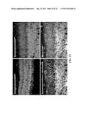 COMPOSITIONS FOR INDUCING DIFFERENTIATION INTO RETINAL CELLS FROM RETINAL     PROGENITOR CELLS OR INDUCING PROLIFERATION OF RETINAL CELLS COMPRISING     WNT SIGNALING PATHWAY ACTIVATORS diagram and image