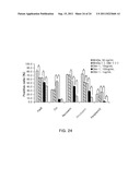 COMPOSITIONS FOR INDUCING DIFFERENTIATION INTO RETINAL CELLS FROM RETINAL     PROGENITOR CELLS OR INDUCING PROLIFERATION OF RETINAL CELLS COMPRISING     WNT SIGNALING PATHWAY ACTIVATORS diagram and image