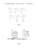 INHIBITORS OF STAT3 diagram and image