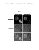 CYTOPLASM EXPOSURE ADDITIVE AND METHOD FOR EXPOSING PARTICLES DELIVERED     INTO CELL TO CYTOPLASM FROM ENDOCYTIC VESICLES IN INTACT CELL diagram and image