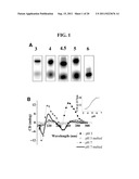 DNA-BASED MOLECULAR SWITCHES AND USES THEREOF diagram and image