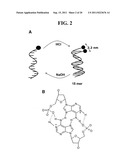 DNA-BASED MOLECULAR SWITCHES AND USES THEREOF diagram and image