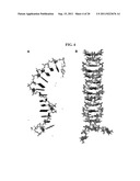 DNA-BASED MOLECULAR SWITCHES AND USES THEREOF diagram and image