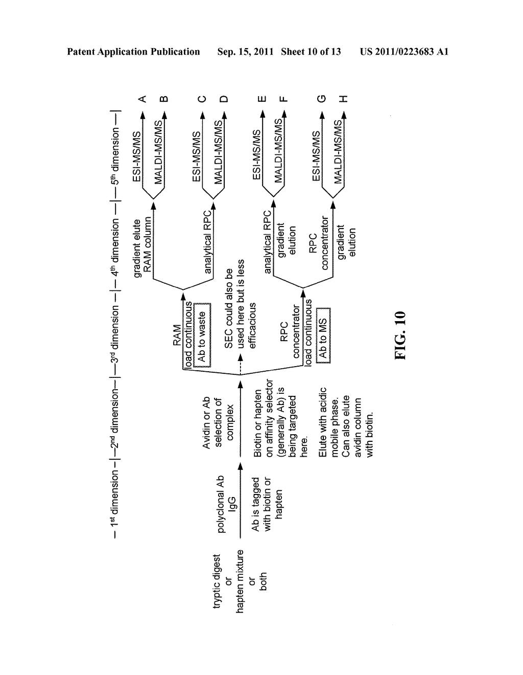 AFFINITY SELECTOR BASED RECOGNITION AND QUANTIFICATION SYSTEM AND METHOD     FOR MULTIPLE ANALYTES IN A SINGLE ANALYSIS - diagram, schematic, and image 11