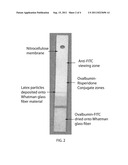 ASSAY diagram and image