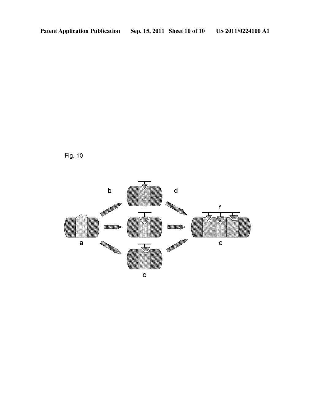 DESIGNED ARMADILLO REPEAT PROTEINS - diagram, schematic, and image 11