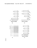 POLYNUCLEOTIDES FOR USE IN TREATING AND DIAGNOSING CANCERS diagram and image