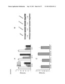 POLYNUCLEOTIDES FOR USE IN TREATING AND DIAGNOSING CANCERS diagram and image