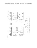 POLYNUCLEOTIDES FOR USE IN TREATING AND DIAGNOSING CANCERS diagram and image