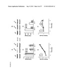 POLYNUCLEOTIDES FOR USE IN TREATING AND DIAGNOSING CANCERS diagram and image