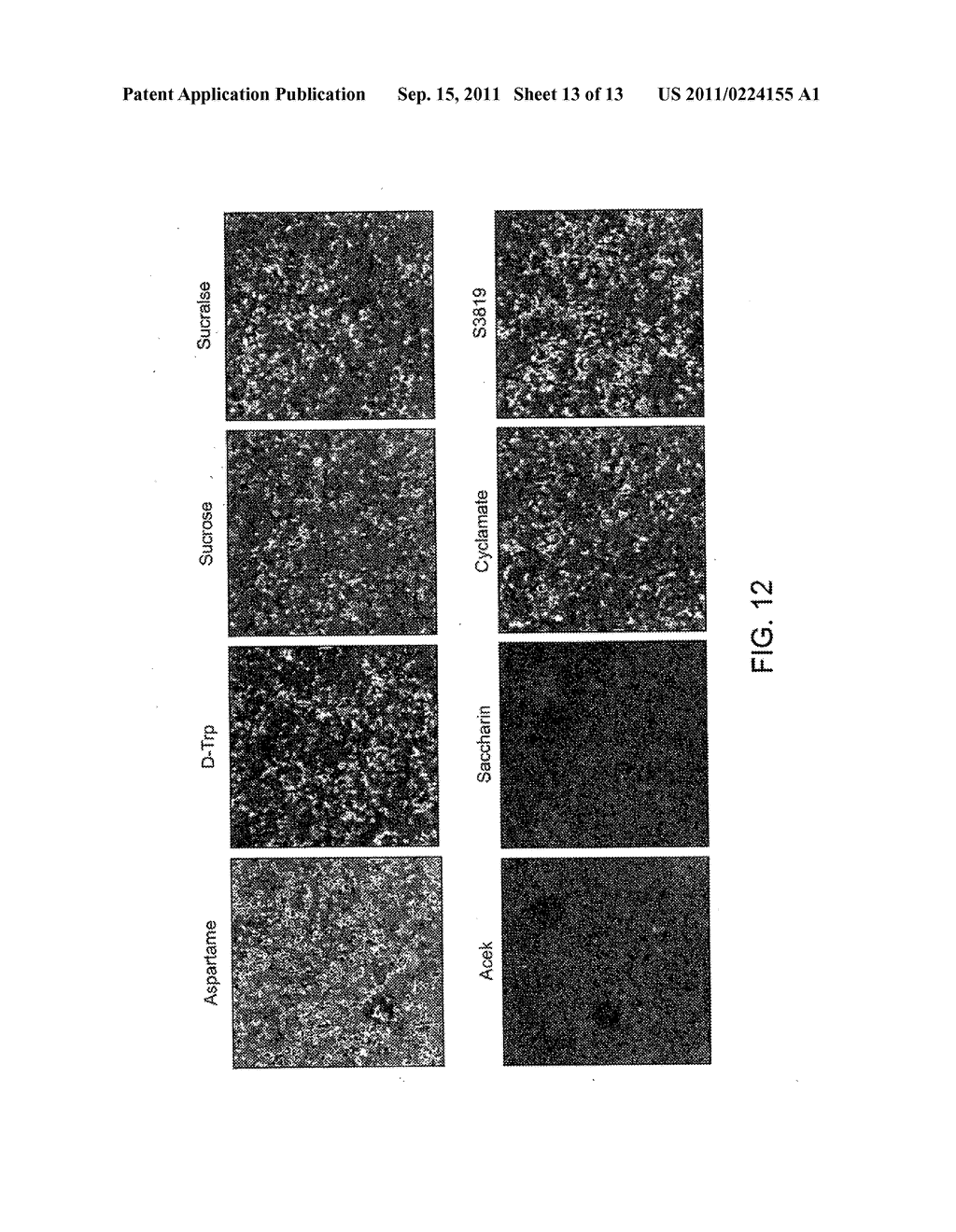 MODULATION OF CHEMOSENSORY RECEPTORS AND LIGANDS ASSOCIATED THEREWITH - diagram, schematic, and image 14