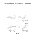 BIDESMOSIDIC BETULIN AND BETULINIC ACID DERIVATIVES AND USES THEREOF AS     ANTITUMOR AGENTS diagram and image