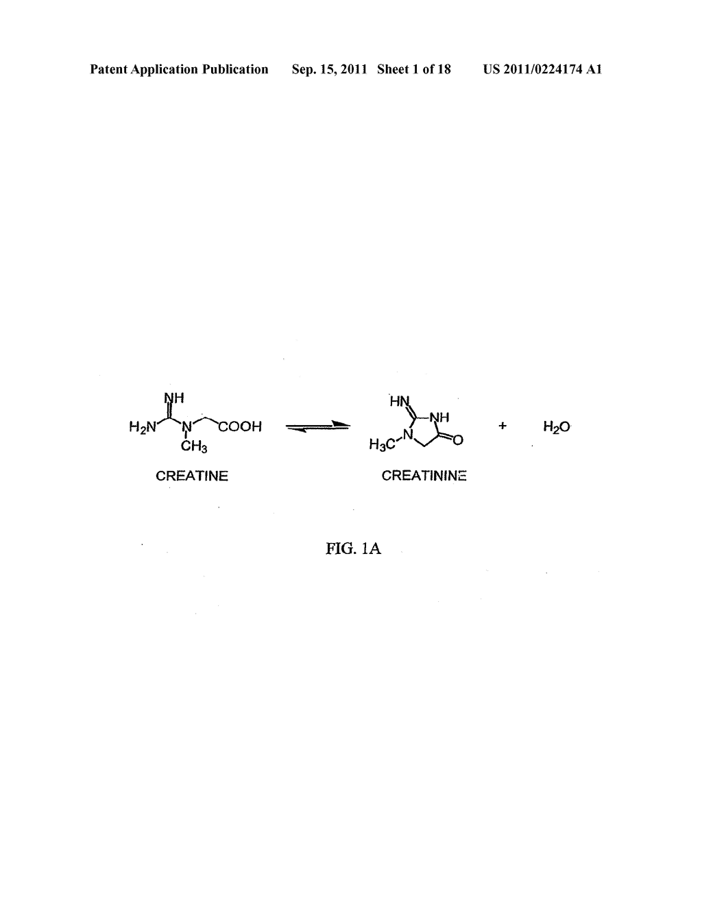 CREATINE ESTER ANTI-INFLAMMATORY COMPOUNDS AND FORMULATIONS - diagram, schematic, and image 02