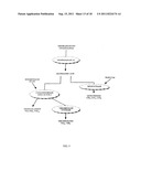 CREATINE ESTER ANTI-INFLAMMATORY COMPOUNDS AND FORMULATIONS diagram and image